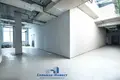 Propiedad comercial 721 m² en Minsk, Belarús