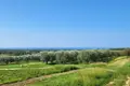 Land  Kastelir, Croatia
