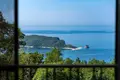 1 bedroom Villa 200 m² Budva, Montenegro