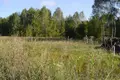 Land 1 room 7 050 m² Otwock, Poland