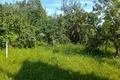 House 24 m² Piatryskauski sielski Saviet, Belarus