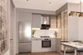 Penthouse 5 zimmer 132 m² Beyoglu, Türkei