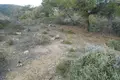 Land  Limenaria, Greece