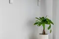 Mieszkanie 3 pokoi 72 m² Wilno, Litwa