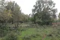 Land  Tivat, Montenegro