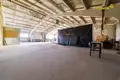 Propiedad comercial 1 490 m² en Lahojsk selsaviet, Belarús