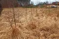 Grundstück 2 444 m² Drzewce, Polen