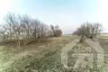 House 63 m² Palacanski sielski Saviet, Belarus