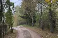 Land  Aliachnovicki sielski Saviet, Belarus