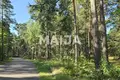 Land  Gauja, Latvia
