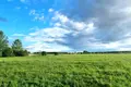 Land 3 000 m² Marupe, Latvia