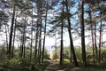 Maison 5 chambres 390 m² Jurmala, Lettonie