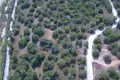 Земельные участки 1 комната  Municipality of Sithonia, Греция