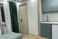 1 bedroom rent in Didube