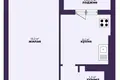 Appartement 1 chambre 44 m² Sloutsk, Bélarus