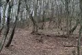 Земельные участки  Тианети, Грузия