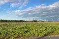 Земельные участки 800 м² городской округ Бор, Россия