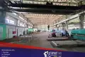 Manufacture 4 619 m² in Krychau, Belarus