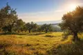Land 8 500 m² Neos Marmaras, Greece