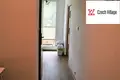 2 bedroom apartment 55 m² okres Usti nad Labem, Czech Republic