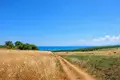 Land 24 000 m² Nea Triglia, Greece