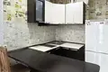 1 room apartment 28 m² Kopishche, Belarus