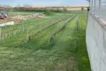 Działki 2 m² Purbach am Neusiedler See, Austria