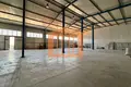 Manufacture 225 m² in Bashkia Durres, Albania