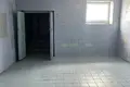 Commercial property 92 m² in Karelichy, Belarus
