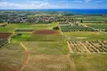 Działki 7 500 m² Nea Triglia, Grecja