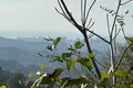 Działki 2 503 m² Ortabatumi, Gruzja