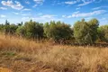 Parcelas 9 000 m² Nea Triglia, Grecia