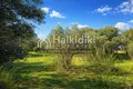 Parcelas 4 054 m² Agios Mamas, Grecia