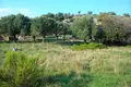 Atterrir 1 chambre 3 200 m² Sykia, Grèce