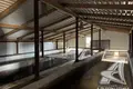 Fabrication 1 460 m² à Vielikarycki sielski Saviet, Bélarus