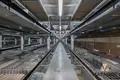 Office 2 rooms 352 m² in Minsk, Belarus