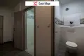 Wohnung 4 zimmer 55 m² Hauptstadt Prag, Tschechien