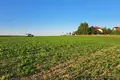 Atterrir 834 m² Kornik, Pologne