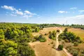Działki 15 700 m² Kassandrino, Grecja