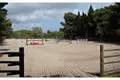 Grundstück 70 000 m² Opcina Liznjan, Kroatien