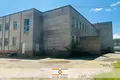 Commercial property 855 m² in Siemiezava, Belarus