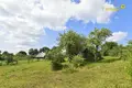 House 60 m² in Shershunskiy selskiy Sovet, Belarus