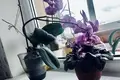 Wohnung 70 m² Wassilkowo, Russland
