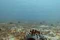 Exclusivo Complejo Turístico Operativo en Isla Pulau Tinggi (3.7 Ha, 88 Unidades) — $5,000,000