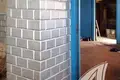 Casa 55 m² Dzmitrovicki sielski Saviet, Belarús