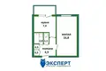 Wohnung 1 zimmer 33 m² Minsk, Belarus