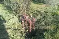 Land 5 000 m² Paralia Dionisiou, Greece