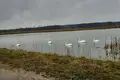 Haus 61 m² Mascanicki sielski Saviet, Belarus