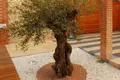 7 bedroom villa 700 m² el Campello, Spain