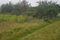 Działki  Scomyslicki sielski Saviet, Białoruś